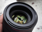 Canon RF 50mm f/1.2 L USM